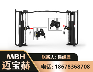 汕尾大飞鸟训练器